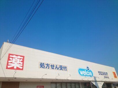 近くのウエルシア様まで550m(徒歩7分)
