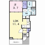 ティファニーハイツ Ⅱの間取り画像