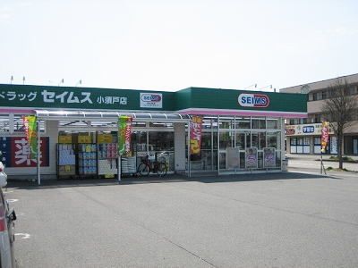 近くのドラッグセイムス小須戸店まで750m（徒歩10分）