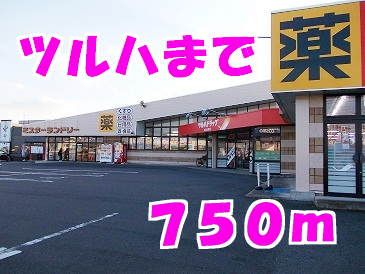 近くのツルハドラッグまで750m（徒歩10分）