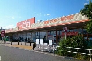 近くのザ・ビッグ山梨中央店まで800m（徒歩10分）