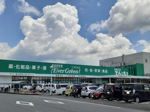 近くのエバグリーン和歌山店様まで1,400m(徒歩18分)