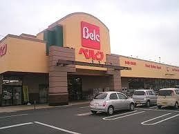 近くのサンドラッグまで750m（徒歩10分）