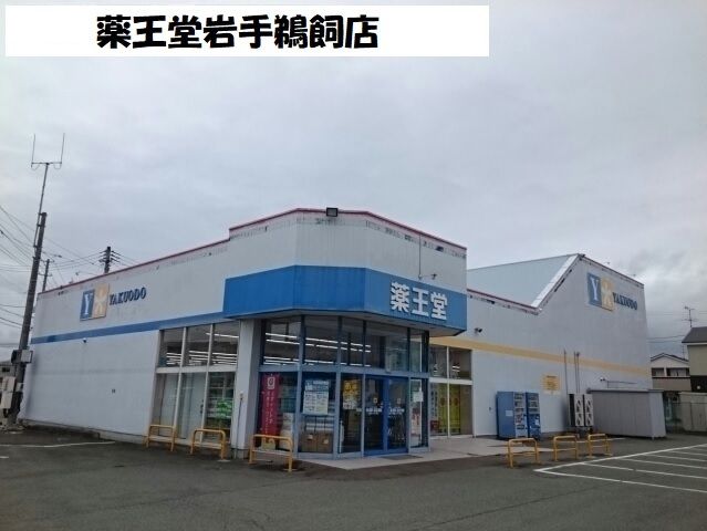 近くの薬王堂岩手鵜飼店まで800m（徒歩10分）