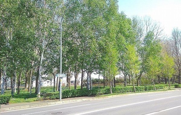 近くの公園まで200m（徒歩3分）