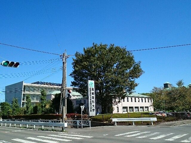 近くの高崎商科大学まで2,900m(徒歩37分)