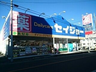 近くのセイジョーまで650m（徒歩9分）