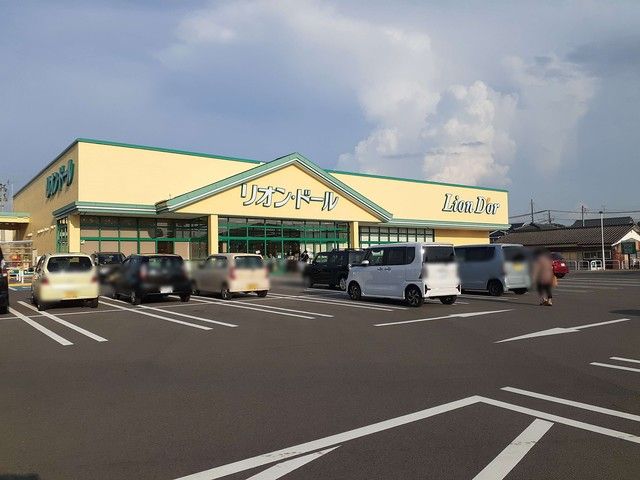 近くのリオンドール新津本町店まで1,000m（徒歩13分）