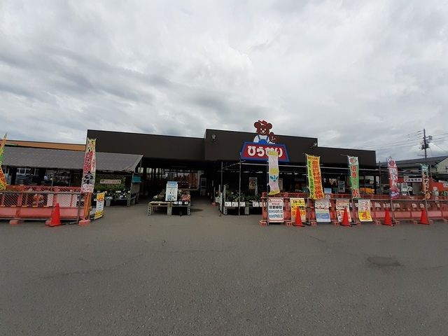 近くのひらせいホームセンター村松店まで550m（徒歩7分）