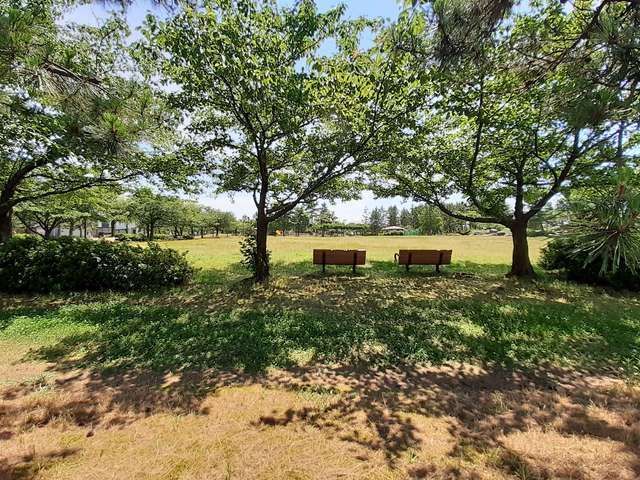近くの牛海道中央公園まで90m(徒歩2分)