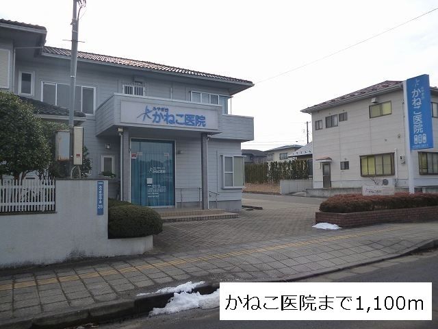 近くのかねこ医院まで1,100m(徒歩14分)