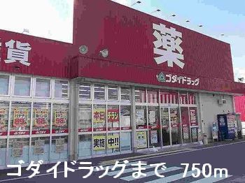 近くのゴダイドラッグまで750m（徒歩10分）