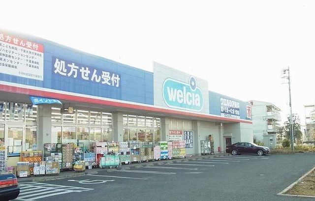 近くのウェルシア薬局誉田店まで1,200m（徒歩15分）