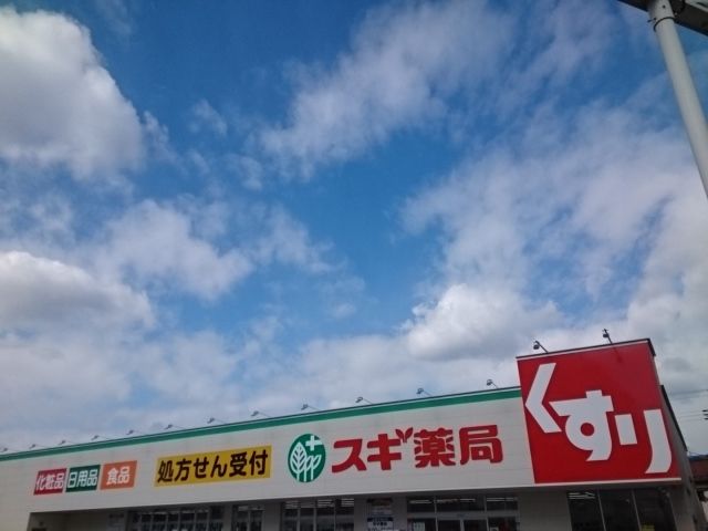 近くのスギ薬局様まで790m（徒歩10分）