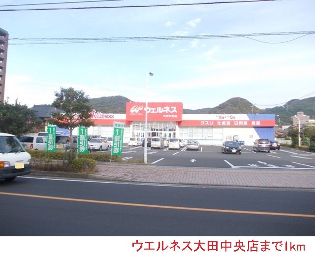近くのウエルネス大田中央店まで1,000m（徒歩13分）
