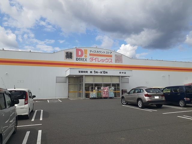 近くのダイレックス府中店まで800m（徒歩10分）