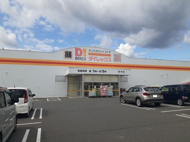 近くのダイレックス府中店まで920m（徒歩12分）