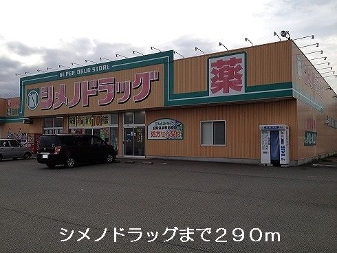 近くのシメノドラッグまで290m(徒歩4分)