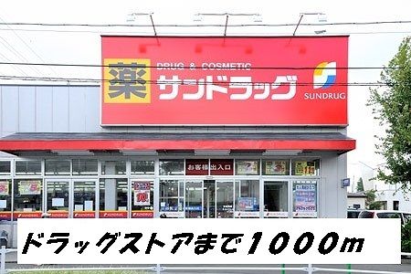 近くのサンドラッグまで1,000m（徒歩13分）