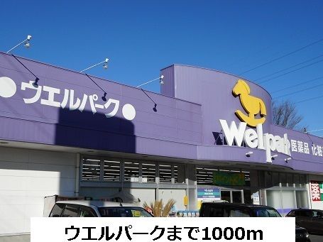 近くのウェルパークまで1,000m(徒歩13分)