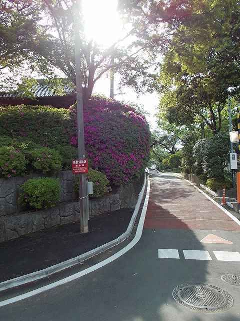 近くの城山公園まで200m（徒歩3分）