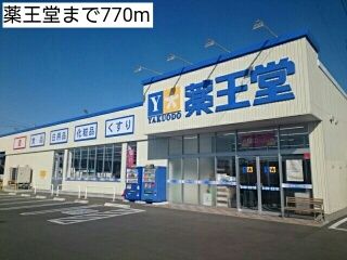 近くの薬王堂まで770m（徒歩10分）