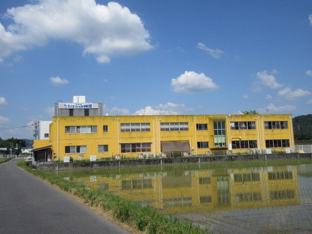 近くの大牟田たちばな幼稚園まで420m(徒歩6分)
