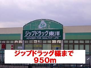 近くのジップドラッグ様まで950m(徒歩12分)