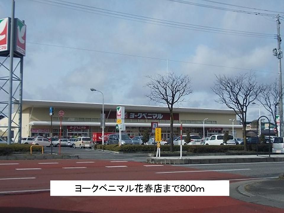 近くのヨークベニマル花春店まで800m(徒歩10分)