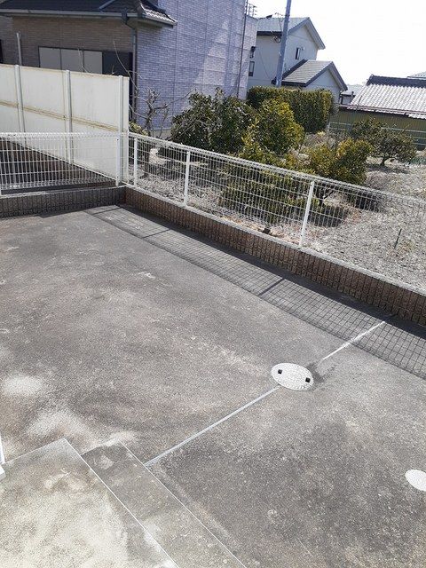 庭