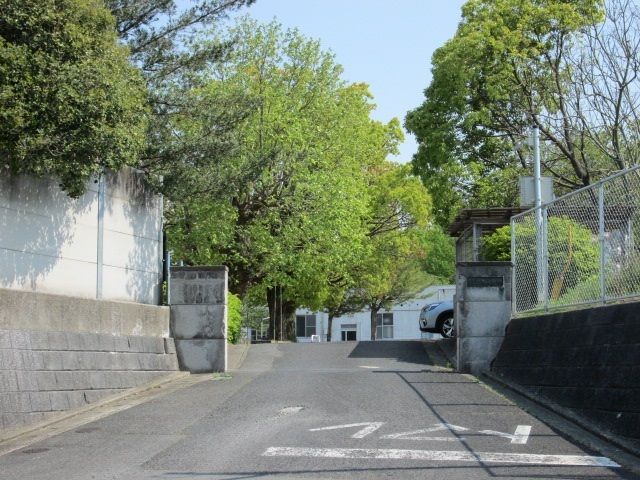 近くの植木小学校まで900m（徒歩12分）