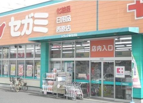 近くのドラッグセガミまで750m(徒歩10分)