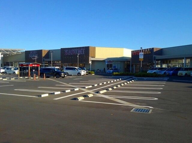 近くのフレスポ桶川坂田店まで950m（徒歩12分）