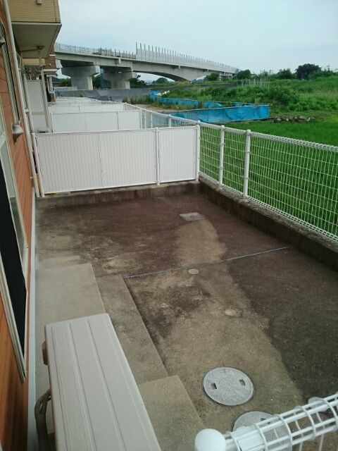 庭