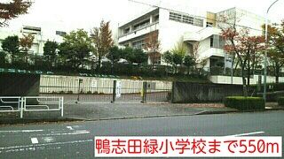 近くの鴨志田緑小学校まで550m(徒歩7分)