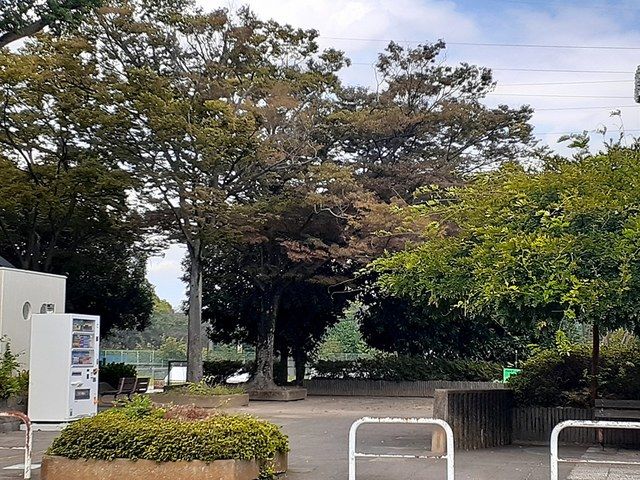 近くの青葉公園まで820m（徒歩11分）