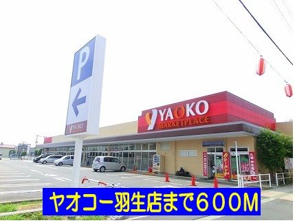 近くのヤオコー羽生店まで600m（徒歩8分）
