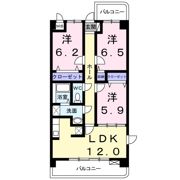 サンライズ 新池の間取り画像