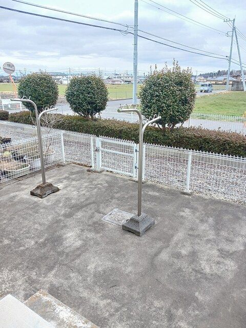 庭