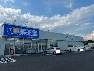 近くの薬王堂 黒磯埼玉稲村店まで3,300m(徒歩42分)