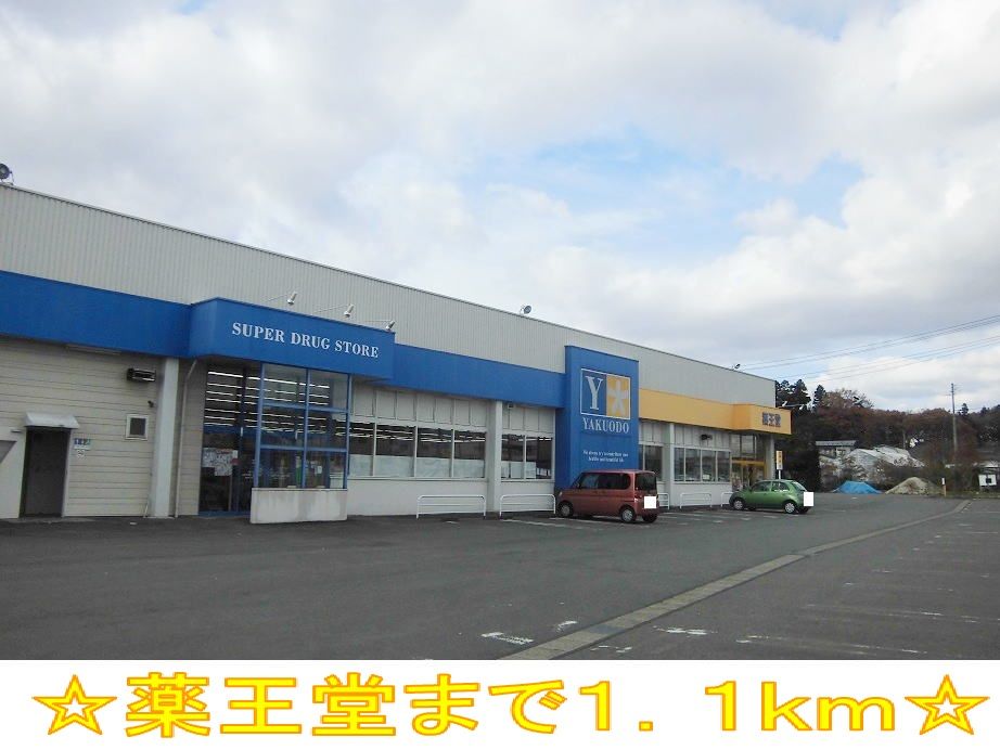 近くのドラッグストアまで1,100m（徒歩14分）