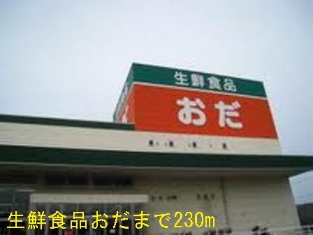 近くの生鮮食品おだまで230m（徒歩3分）