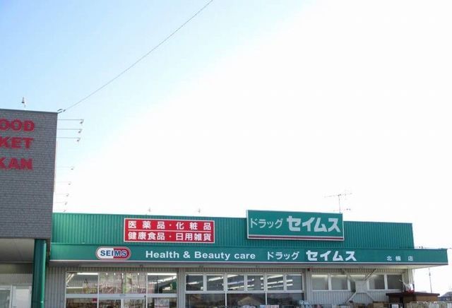 近くのドラッグセイムスまで750m（徒歩10分）