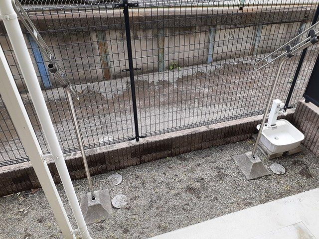 庭