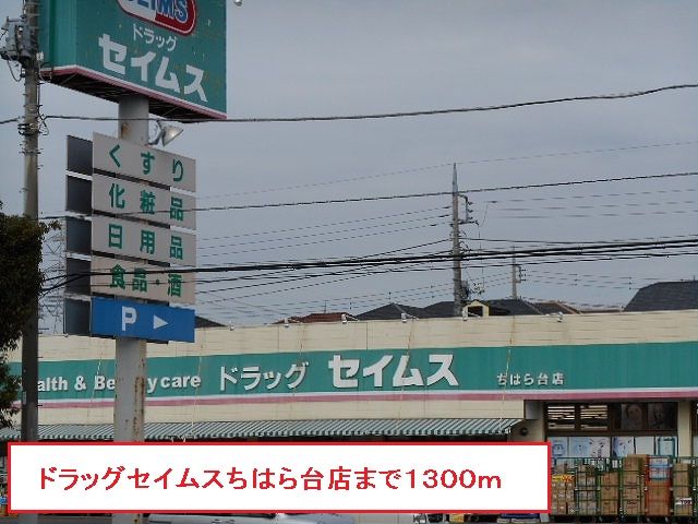 近くのドラッグセイムスちはら台店まで1,300m（徒歩17分）