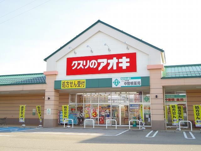 近くのクスリのアオキまで1,300m(徒歩17分)