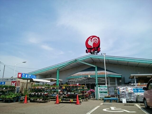 近くのコメリ 小池店まで1,200m(徒歩15分)