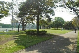 近くの大岡公園まで290m（徒歩4分）