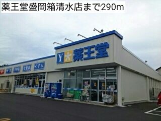 近くの薬王堂盛岡箱清水店まで290m（徒歩4分）