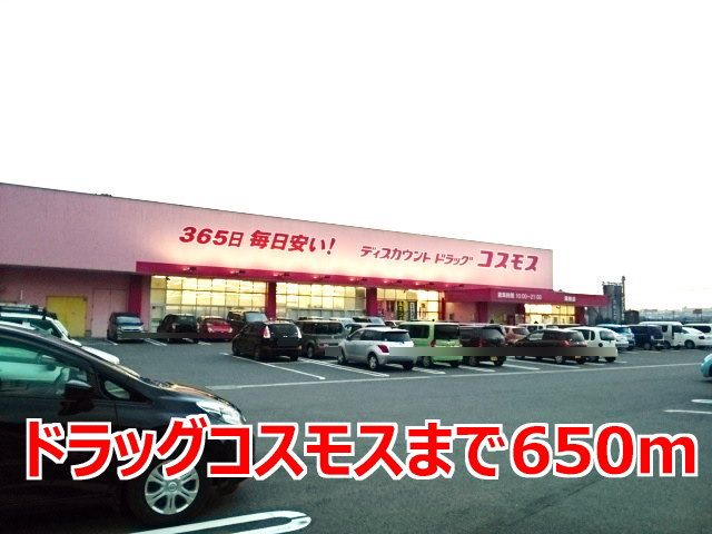 近くのドラッグコスモスまで650m(徒歩9分)